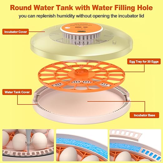 30 Egg Incubators for Hatching Chicken/Quail/Pigeon/Birds Eggs, Incubator with Automatic Egg Turning/Temperature Control/Humidity Display/Egg Candler/360°View/Fully Automatic, for Beginner/Farm/Home