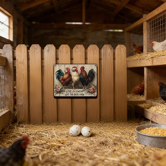 Funny Farmhourse Chicken Coop Metal Tin Signs Vintage Chicken Decor Sign Live Like Someone Left The Gate Open Poster for Home Kitchen Garden Restaurant Rooster Outdoor Wall Art Decor 12x8 Inch