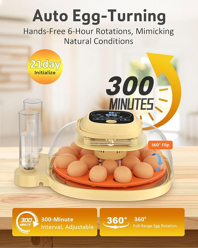 18-33 Egg Incubator for Hatching Eggs, Automatic Egg Turning, Egg Candler, Temperature/Humidity Control, Incubator for Hatching Chicken, Quail, Duck Eggs, 360° Clear View for Home, Classroom, Farm