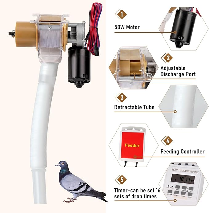 Timed Automatic Chicken Feeder and Duck Feeder, Timed Poultry Feederer Great for Chickens, Ducks, Geese, Pigeons, Fish, Dogs, Fish, Cats