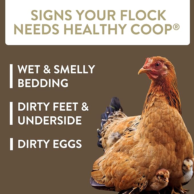 Healthy Coop, Litter Additive for Chicken Coop with Probiotic & Acidifier, Reduces Odor, Wetness & Bacteria, 12lbs
