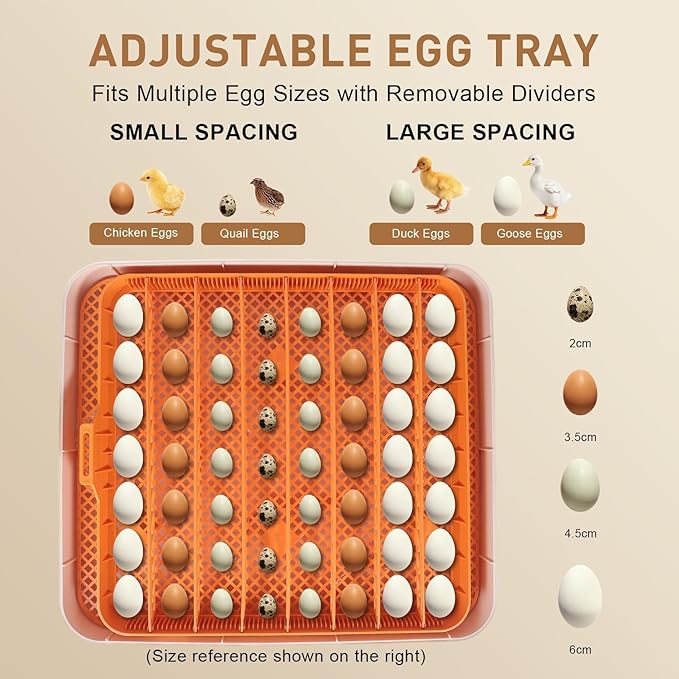 Series IV - 56 Egg Professional Incubator for Breeders, Automatic Sensor-Based Precise Humidity & Temp Control, Adjustable Egg Spacing, Auto Turn & Auto Stop, Preset Incubation Days, Chick Separator