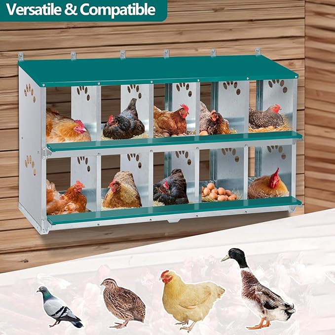 Chicken Nesting Box, 10 Compartment Nesting Box, 10 Room Metal Nesting Boxes for Chicken, Green