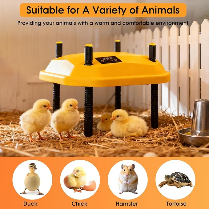 16 * 16inch Chick Brooder Heater Plate with Temperature Adjustable and Display,Adjustable Height & Angle Brooder Box for Baby Chicks Quail Duckling Chicken Heat Warmer Lamp Poultry Habitat Supplies