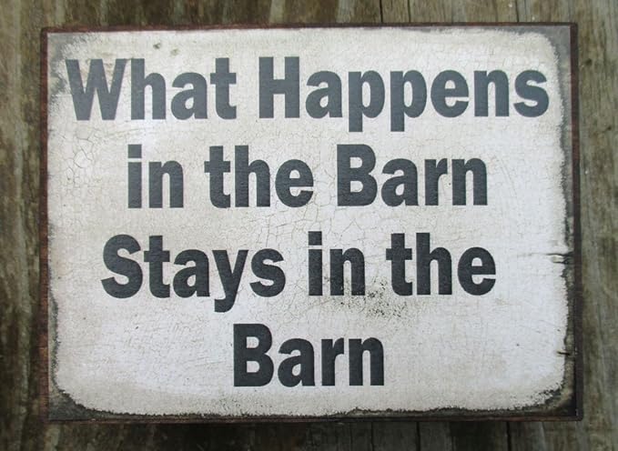 Farmisms 4x3 Inspirational Wooden Rustic Country Signs for Country Farm Living -What Happens in The Barn Stays in The Barn