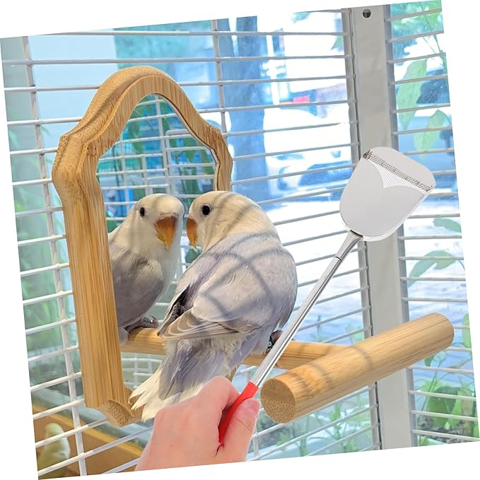 BESTonZON 2Pcs Bird Cage Cleaning Brush Set Efficient Droppings Scoop Multi Function Cleaning Tool for Small Pet Cages User Friendly Durable Accessories for Bird Care