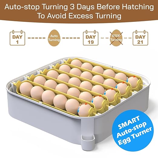 MATICOOPX 30 Egg Incubator with Humidity Display, Egg Candler, Automatic Egg Turner, for Hatching Chickens