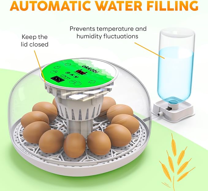 Okkobi M12 Egg Incubator with Automatic Turner and Humidity Control - 12/24 Eggs, 360° View, Easy to Use and Clean - Incubadora de Huevos de Gallina - Made for US - White & Green