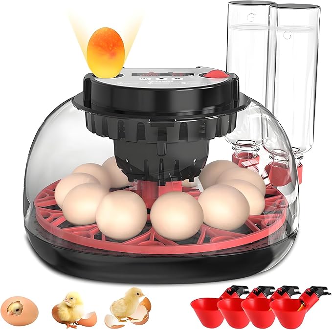 Incubators for Hatching Eggs,12 Egg Incubator with Automatic Egg Turning and Humidity Control,Incubadora de huevos de gallina,Incubator for Chicken,Quail,Duck,Goose,Parrot Eggs for Home,Farm,Lab Use