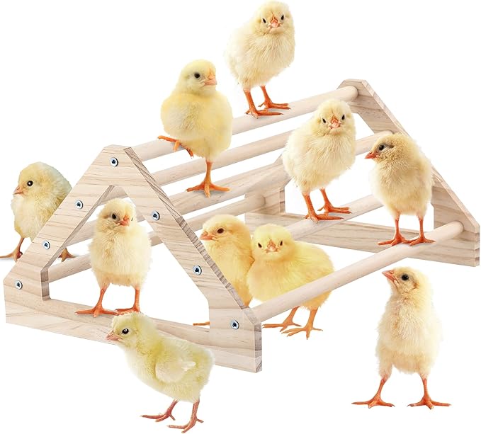 Wooden Chick Perch Stand, Pine Roosting Bar, Jungle Gym Perch Toys for Chicken Coop & Brooder, Bird Perch for Baby Chicks & Parrots (Large)