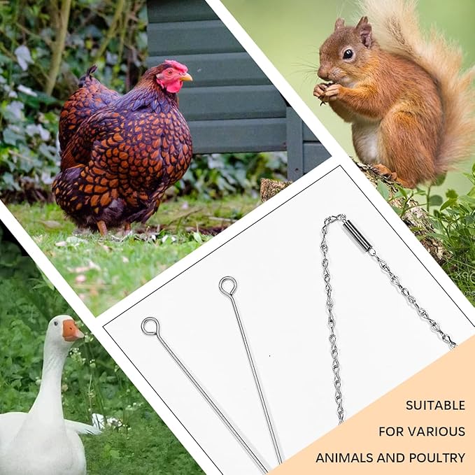 Hanging Chicken Feeder Chain 2 Veggies Skewers Stainless Steel Vegetable Forks Fruit Feeders for Hens Ducks Goose and Large Birds Coop Toy Accessories