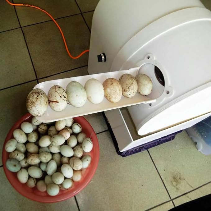 Automatic Egg Washer, Duck Egg Cleaners, Egg Treatment Plant for Fresh Eggs, Reusable Cleaning Tools for Egg Washer ~/