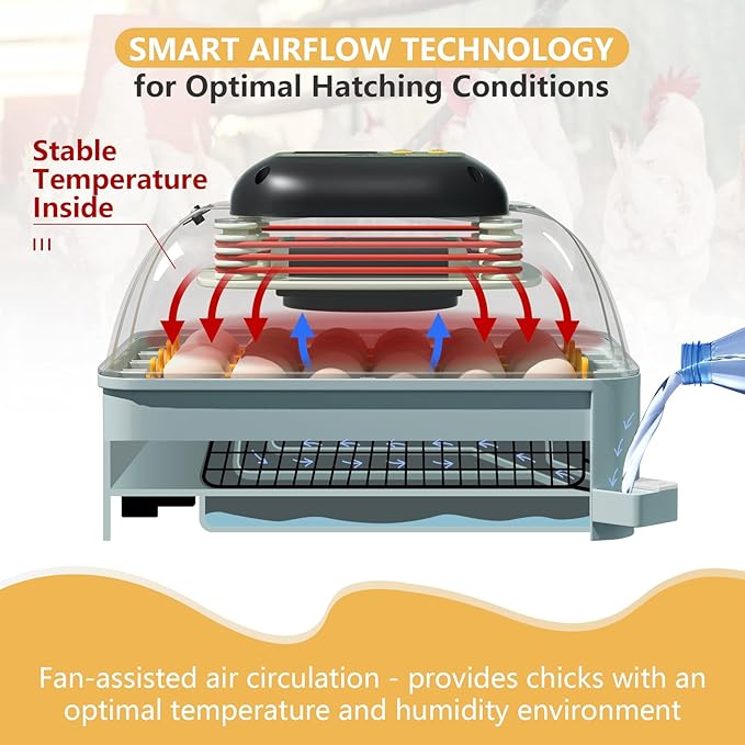 MIKIROY Chicken Egg Incubator with Automatic Egg Turning, Humidity Control, Temperature Control, and Egg Candler – Incubators for Hatching Chicken, Duck and Quail Eggs, Holds 24 Eggs (Gray)