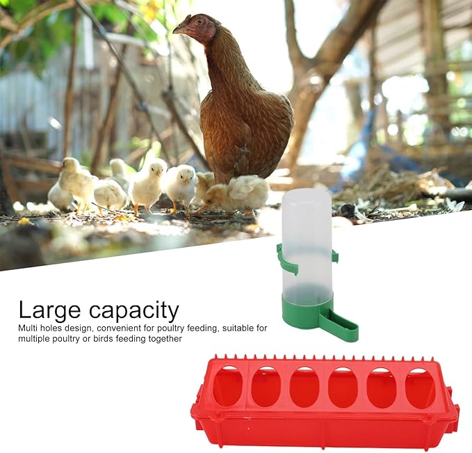 Plastic Chick Feeder and Waterer Kit, 12 Holes, 140ML Capacity, Small Poultry Bird Feeding Set, 2 Pack