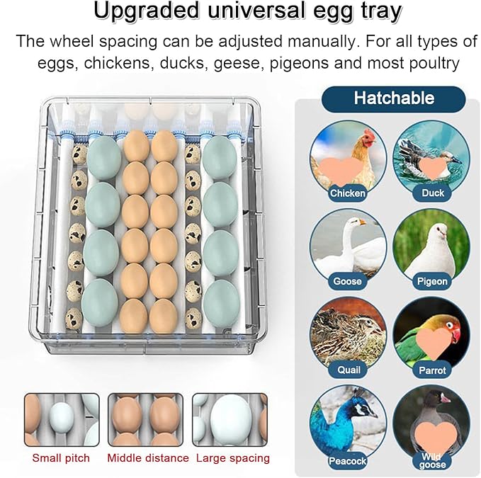 Egg Incubator Chicken Incubators for Hatching Eggs with Automatic Temperature and Humidity Control, Chick Brooder, Incubator Box Kit,36Eggs,36Eggs
