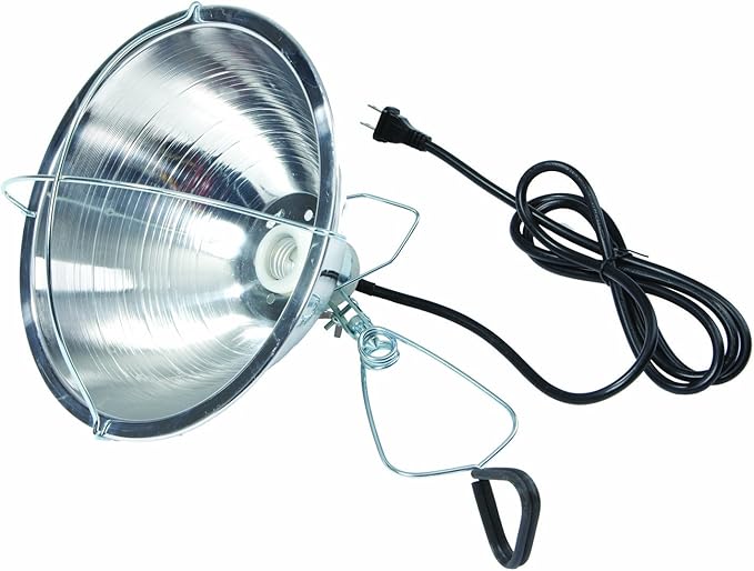 Little Giant® Brooder Reflector Lamp | Heat Lamp for Baby Chicks | 10.5 inch | 250 Watt | Egg Heat Light