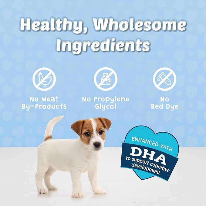 Blue Buffalo Blue Bits Natural Soft-Moist Training Dog Treats Chicken & Beef Recipes 16-oz Bag Variety Pack, 2ct