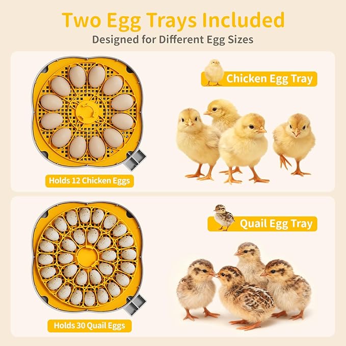 Chicken & Quail Egg Incubator, Dual Egg Trays, Automatic Egg Turning with Auto Stop, Humidity Control, Adjustable Incubation Day & Period, Automatic Water Refill, Egg Candler, Air Vent, Clear View