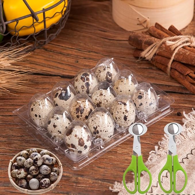 Quail Egg Cartons,12 Grids Small Egg Storage Holders,Quail Eggs Bulk Carton Trays & 2PCS Stainless Steel Cutter