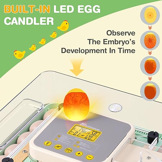 Sailnovo 48 Egg Incubator for Hatching Eggs with Precise Temp & Humidity Control,Auto Egg Turning, 360°Viewing, Egg Candler,Incubator for Chicken Eggs/Duck/Quail/Turkey,Ideal for Farm/School/Lab,Green