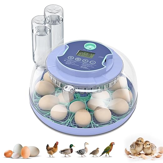 18 Egg Incubator for Hatching Chicks, Automatic Egg Turner Holds 18 Eggs, Smart Incubator 360° Clear Window with Temperature and Humidity Display Egg Candler for Small Poultry Ducks Quails Eggs