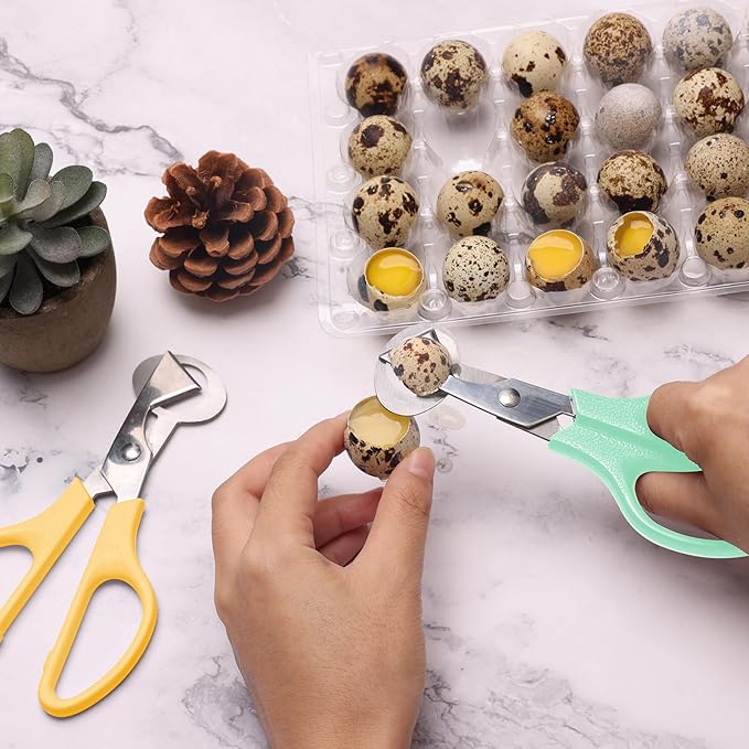 AHIER Pigeon Quail Egg Cutter Scissors Stainless Steel Blades Bird Cutter 2 Pack