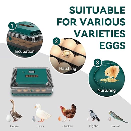 Ovatt 25 Egg Incubator, Automatic Poultry Hatcher with Digital Temperature & Humidity Control, LED Display, Automatic Egg Turner for Chicken, Duck & Goose Eggs, Ideal for Home & Small Farms