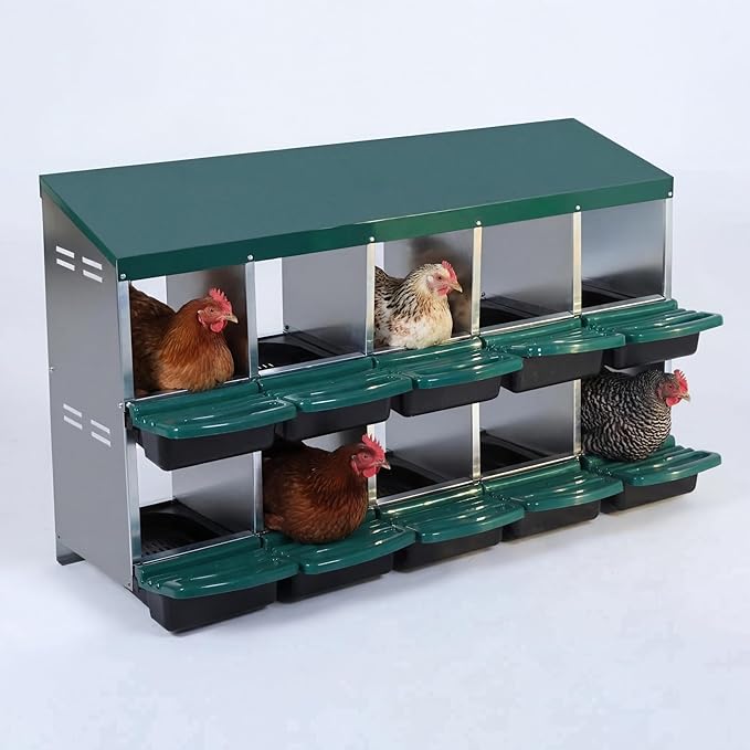 Chicken Nesting Box, 10-Hole Metal Wall Mount Chicken Laying Boxes with Legs and Lid Cover, Easy to Assemble, Roll-Away Egg Design Nesting Boxes for Outdoor Chicken Coop & Farm Yard, Green
