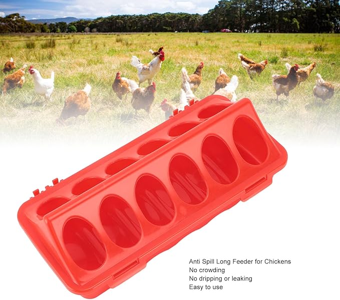 5Pcs Plastic Flip Top Poultry Feeder, Automatic No Waste Feeding with Holes for Birds Chick