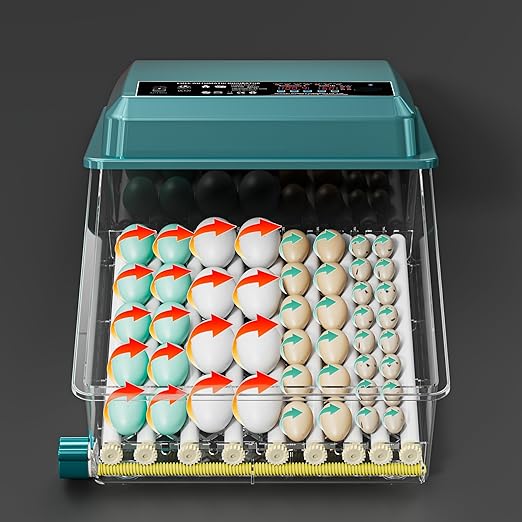Automatic Egg Incubator 36-Tray, Digital Humidity Control with Auto Flip, Adjustable Egg Spacing, Fahrenheit Display, Suitable for Chicken, Duck, Goose, Bird Eggs, Quail Eggs