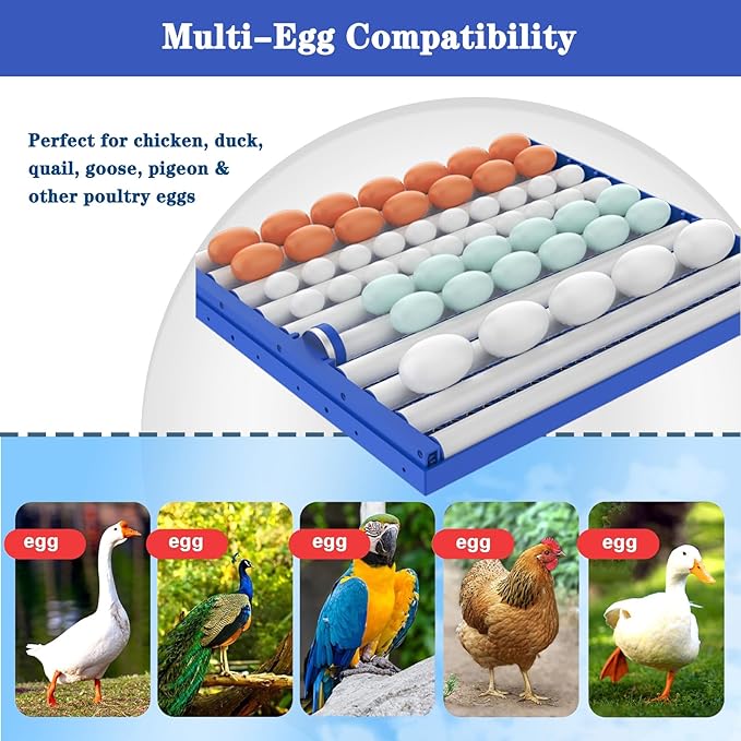 68 Egg Automatic Egg Incubator w/Smart Temp & Humidity Control,Self-Turning & Water Refill for Hatching Chicken Duck Goose Pigeon Eggs (Ac/DC Incubator)