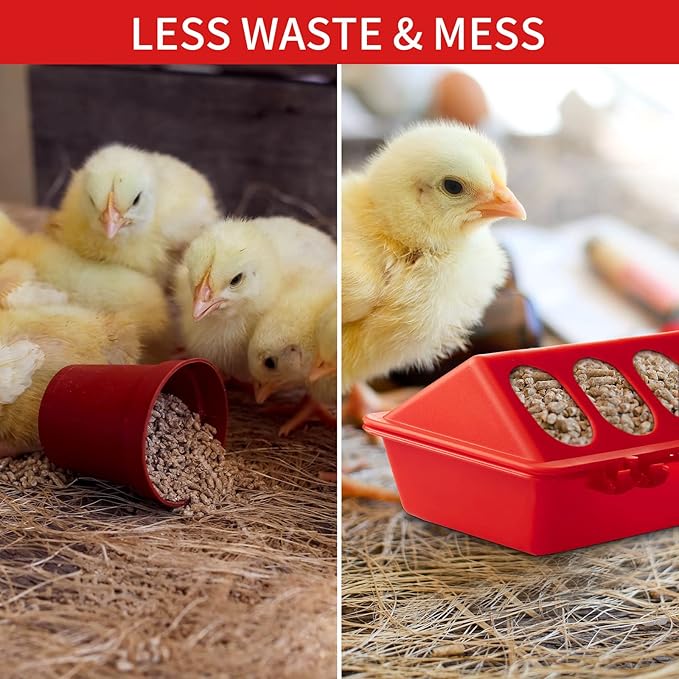 8 Pack Plastic Flip Top Small Poultry Feeder Quail Feeder Baby Chick Ducklings Feeder Red No Mess No Waste Multihole Poultry Feeding Dish Dispenser for Pigeon Chicken Bird