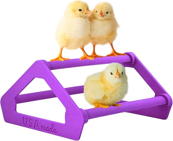 Roosting Perch for Baby Chickens, Chick Brooder Coop Training Toy Accessory, Easy Click Together Assembly, Durable Plastic, Mix and Match Colors, USA Made (Purple, 1 Pack)