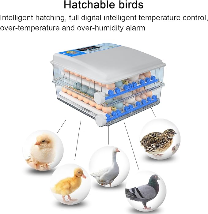 Egg Incubator Chicken Incubators for Hatching Eggs with Automatic Temperature and Humidity Control, Chick Brooder, Incubator Box Kit,36Eggs,64Eggs