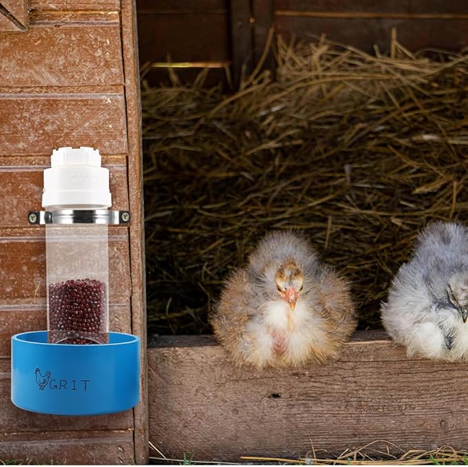 2 Pack Transparent PVC Chicken Feeder, Oyster Shell and Grit Feeder Hanging Ground Chicken Coop Feeder with Hanging Hook for Hens & Chicks (Blue)