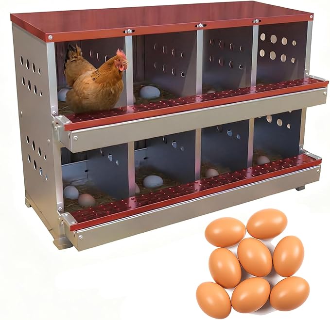 Chicken Nesting Box, 8 Compartment Roll Away Laying Box for Hens, Heavy-Duty Galvanized Steel, Front Egg Collection Tray, 8 Training Eggs Included