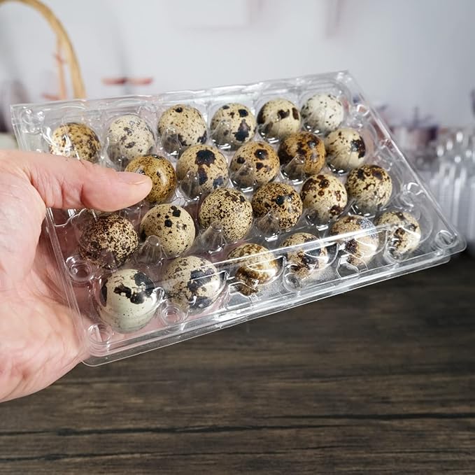 Quail Egg Cartons 60 Packs, Clear Eco-friendly Plastic Blank Egg Cartons with Free Labels, Holds up to 24 Quail Eggs Securely, Perfect for Family Pasture Farm Markets Display - Small
