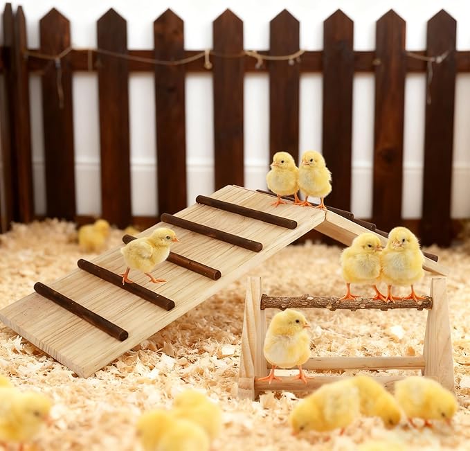2-in-1 Chick Perch & Ramp Trainer Set, Wooden Chicken Roost Bar & Stand for Brooder Coop, Baby Chicken Supplies Toys for Chicks Ducks Quails and Small Animals