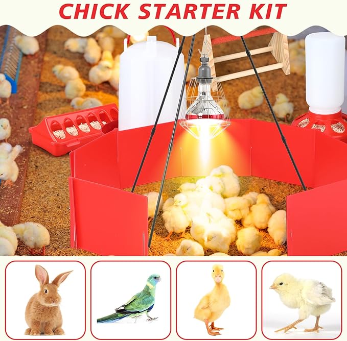 9 Pack Winter Chicken Brooder Box Starter with Heating Plate and 75w Heat Lamp, 0.8 Gallon Heated Chicken Waterer Fountain with Perch Set, 2.9 Lbs Flip Top Poultry Feeder for Coop Chick
