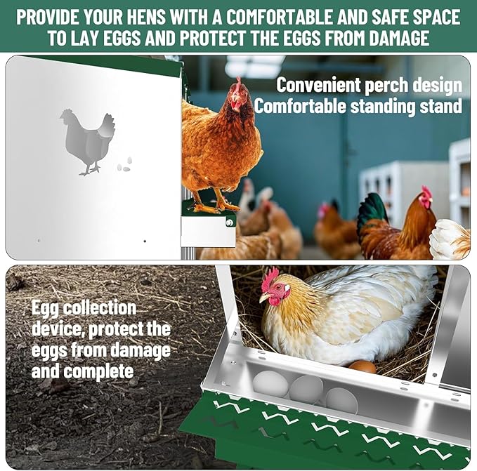 Metal Chicken Nesting Box, 6 Compartments, Rollout Egg Collection, Large Vented Holes, Perch Included, Wall Mount or Free Standing Laying Box for Hens and Chickens - Green with Legs