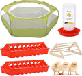 Pawaboo 5-in-1 Chicken Brooder Box for Chick Starter Kit, Includes Pet Cage Tent, Chicks Perch, Chick Feeder, 1.1L Chicks Waterer, Chicken Supplies (Brooder Set), Green + Red + Wood Color