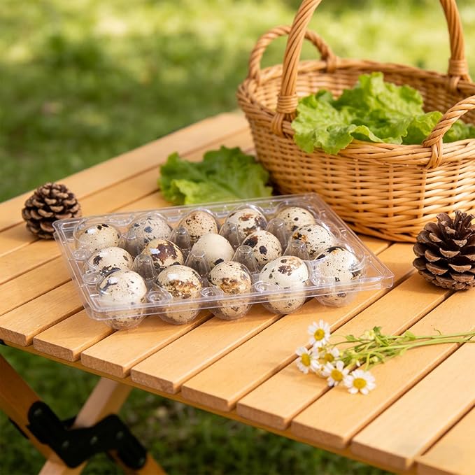 Kisangel 30pcs 15 Grids Clear Quail Egg Carton - Plastic Quail Egg Storage Holder with Lid - Reusable Dispenser Holder for Small Pigeon Pheasant Egges