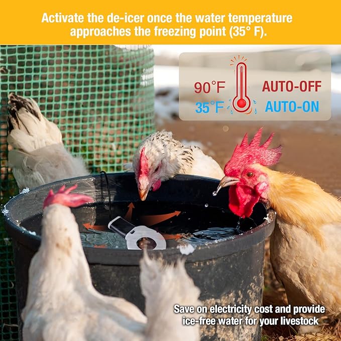 150W Chicken Water Heater, Submersible Bucket Heater Deicer for 5 Gallon, Heated Chicken Waterer for Winter, Freeze-Proof Poultry Waterer, Stock Tank & Water Trough Warmer for Livestock