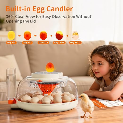 18 Egg Incubator, 2 Egg Trays, Automatic Egg Turning with Auto Stop, Humidity Control, Adjustable Incubation Day & Period, Auto Water Refill, for Chicken, Quail, Duck & Turkey Eggs, APDOE HatchPro 18