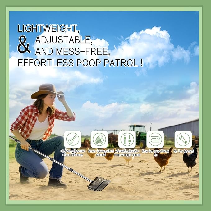 Chicken Poop Scooper for Sand, 2Pack Chicken Coop Scoop, Rake, and Cleaning Tools, Stainless Steel Litter Sifting Shovel for Coop Waste with 15" & 10" Replaceable Heads