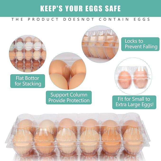 60 Packs 12 Count Clear Egg Cartons, 2 * 6 Grids Design, Perfect for Family, Farm, Markets, Display(Large)
