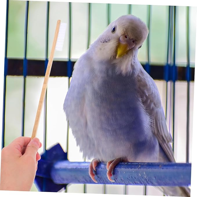 Mikikit 2Pcs Bird Cage Cleaning Brush Set Durable Small Cleaning Brush Droppings Scoop for Efficient Bird Cage Cleaning Reliable Pet Accessories for Small Animals