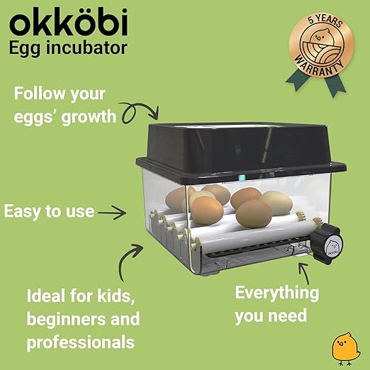 OBI-12 Incubator for Hatching Eggs – 12 Eggs, Easy to Use, Stable Temperature & Humidity Control with Eggloo Insulation - Green