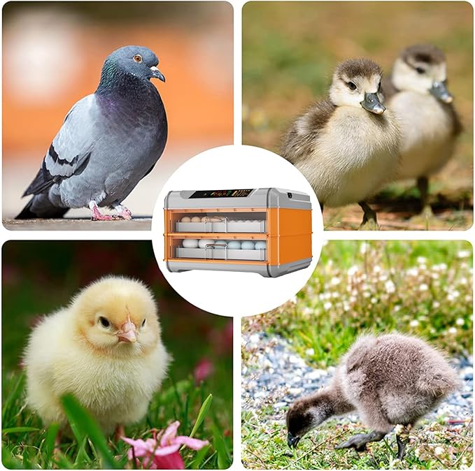 Automatic Incubator, Egg Incubator, with Automatic Temperature and Humidity Control Chicken Incubators for Hatching Eggs,192Eggs,64Eggs