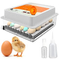 OBI-36 Egg Incubator for Hatching - 36 Eggs - Stable Temperature & Humidity Control with Eggloo Insulation, Candler - Ideal for Families and Farms - Suitable for Chicken, Duck, Quail Eggs